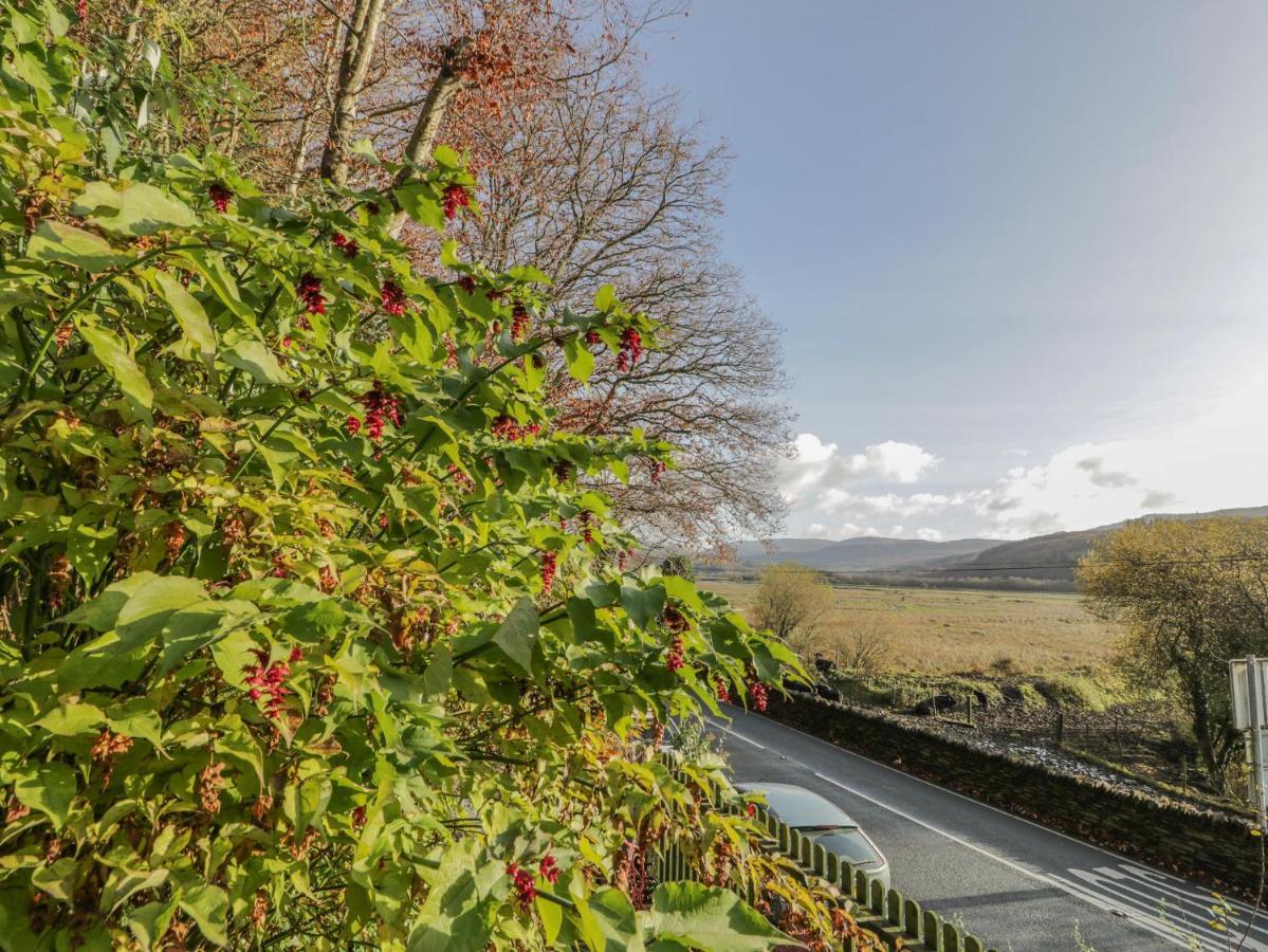 Bryn Melyn Artist'S Cottage Llanelltyd Экстерьер фото